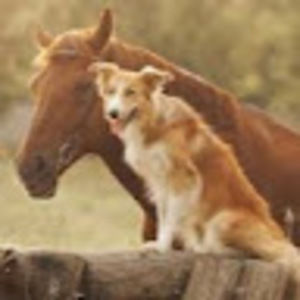 Meet your Posher, Naomi